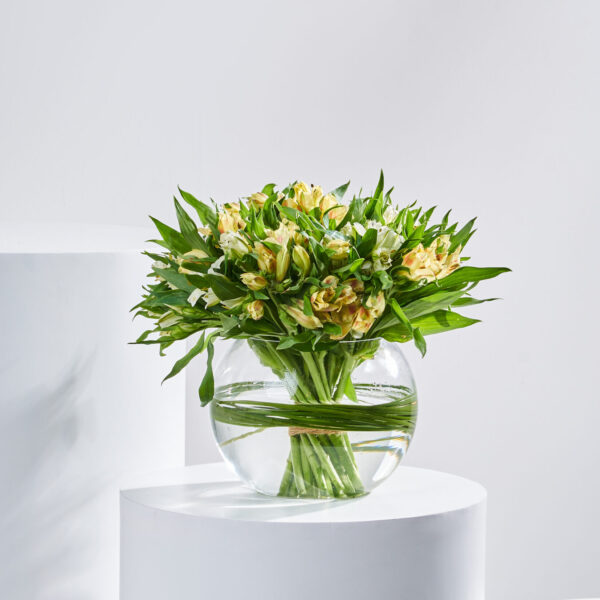 مزهرية زهر الذهب