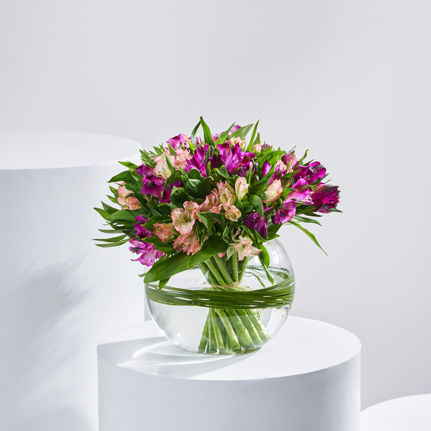 مزهرية عرش الأرجوان