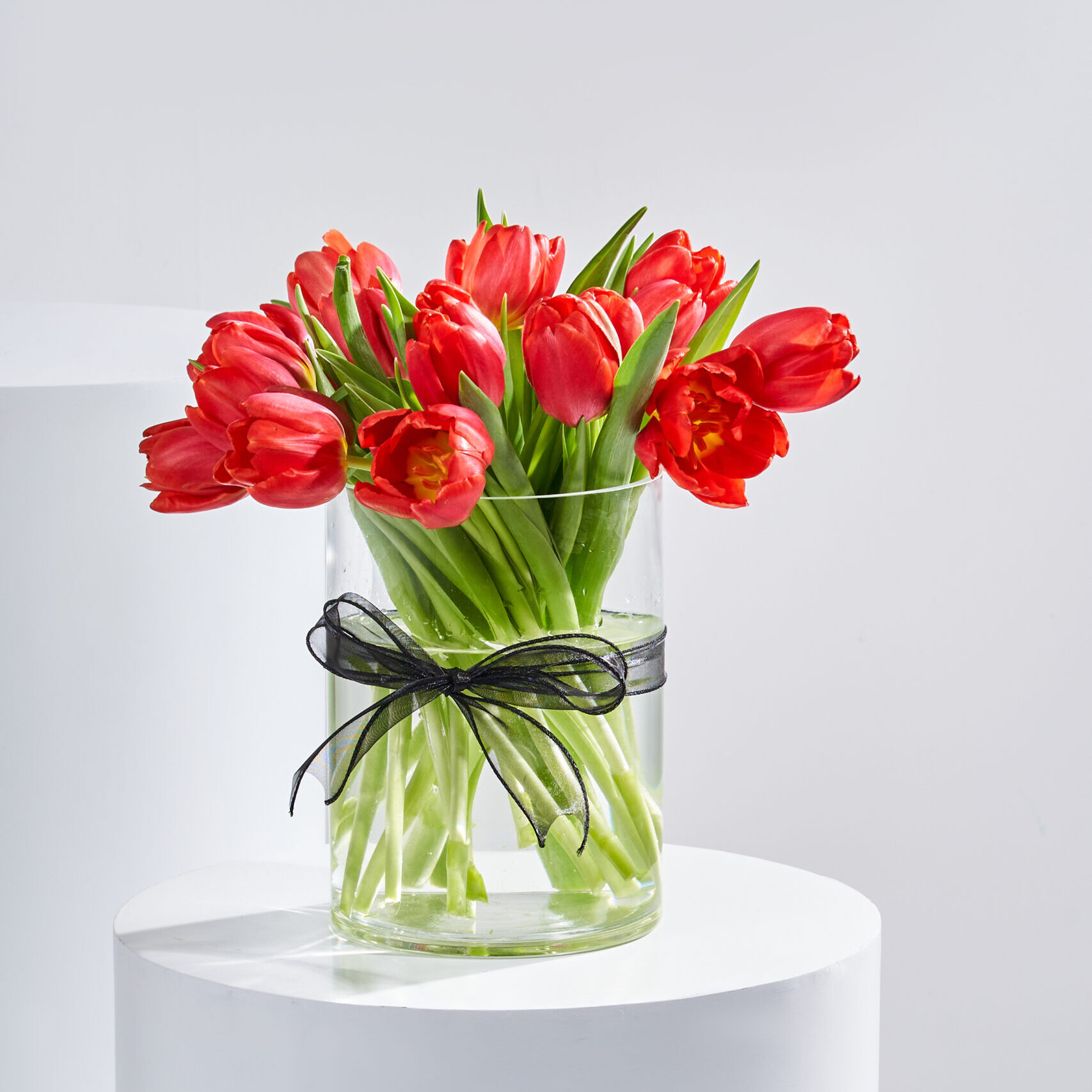 فازة توليب أحمر