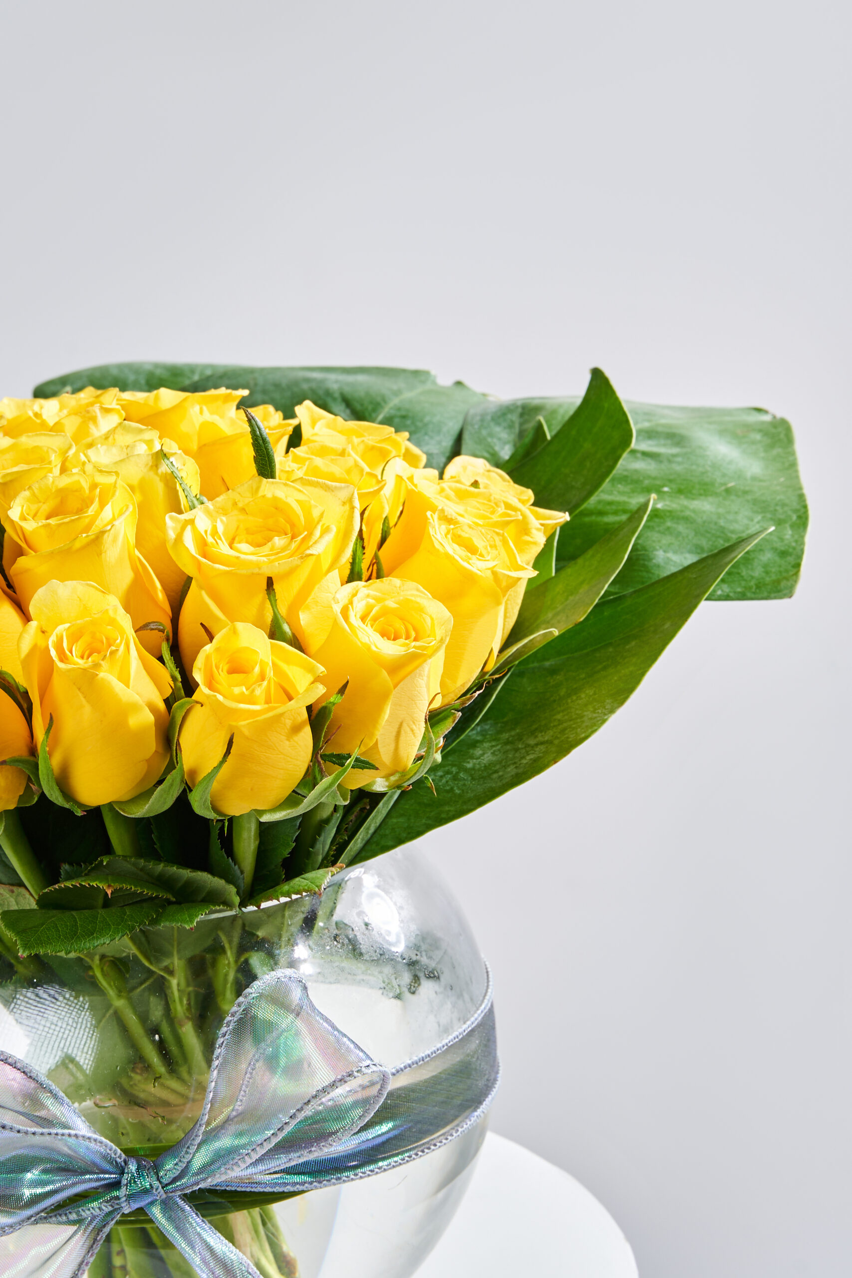 مزهرية بهاء أشعة الشمس - الصورة 3