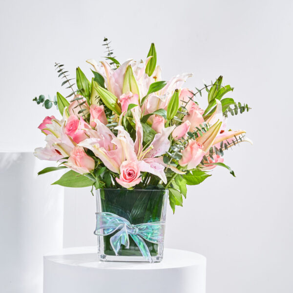 مزهرية وئام الخجل