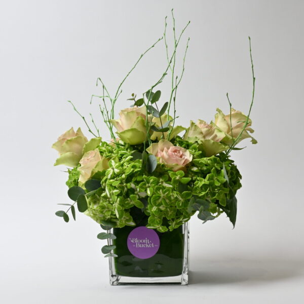 فازة حلم العمر