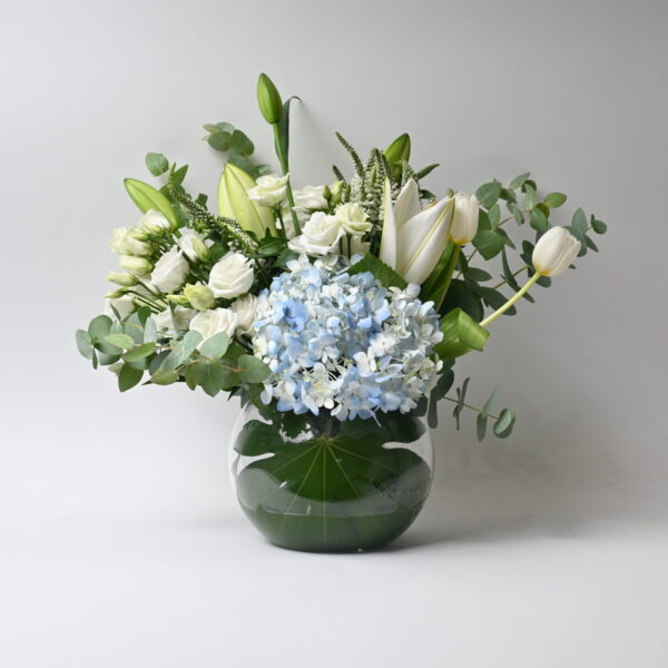 فازة عشرة عمر