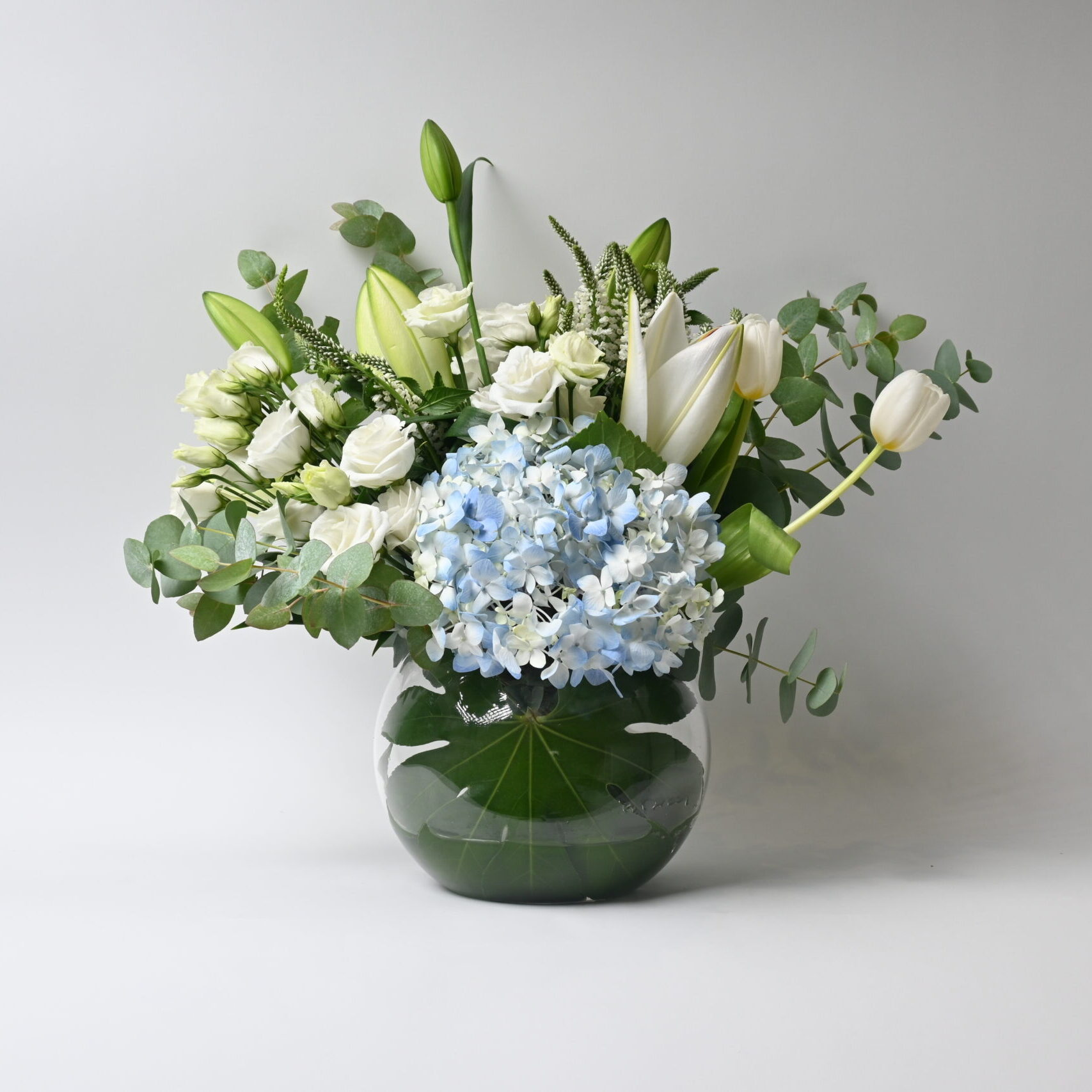 فازة عشرة عمر