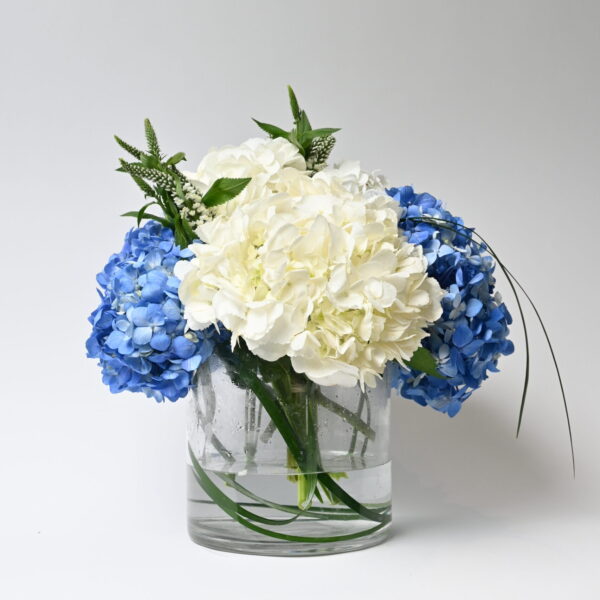 فازة سكر العمر