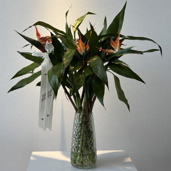 طائر الريادة